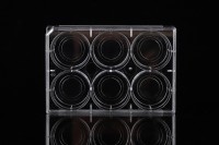 Планшеты культуральные 6 лун, со стеклянной вставкой 20 мм, Nest, Китай