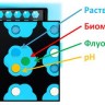 Планшет с лепестковыми лунками Flower Plate, прозрачное дно, O2-оптоды, 10 шт., M2p-labs