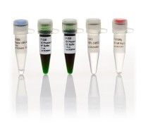 ДНК-полимераза Phusion Green, термостабильная, высокоточная, 2 ед/мкл, Thermo FS