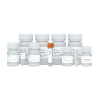 Набор для мини выделения плазмидной ДНК свободной от эндотоксинов, FastPure EndoFree Plasmid Mini, Vazyme, Китай