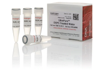 Вода UltraPure DEPC-treated Water, Thermo FS