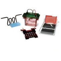 Система мокрого блоттинга Criterion Blotter, электроды в виде проволоки, площадь 150х94 мм, с камерой и крышкой, поддон для сборки, Bio-Rad