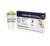 Эндонуклеаза рестрикции XbaI, HC, 50 е.а./мкл, Fermentas, Thermo FS