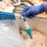 Стартовый комплект testo 206-pH2 - Карманный pH-метр с принадлежностями