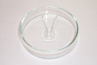 Электрод для чашки Петри, стандартный, расстояние 5 мм, L 8 мм, W 5 мм, H 3 мм, платиновый, Nepa Gene