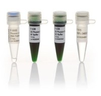 ДНК-полимераза Phusion U Green Hot Start, термостабильная, высокоточная, с «горячим» стартом, 2 ед/мкл, Thermo FS