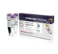 Эндонуклеаза рестрикции XhoI Fast Digest для ускоренного гидролиза ДНК, Fermentas, Thermo FS