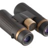 Бинокль Levenhuk Vegas ED 10x42