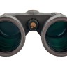 Бинокль Levenhuk Vegas ED 10x42