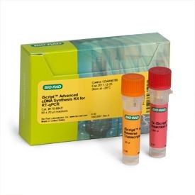 Набор для синтеза кДНК iScript Advanced cDNA Synthesis Kit, Bio-Rad