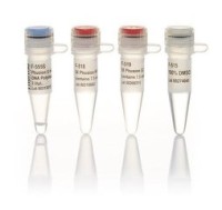 ДНК-полимераза Phusion U Hot Start, термостабильная, высокоточная, с «горячим» стартом, 2 ед/мкл, Thermo FS