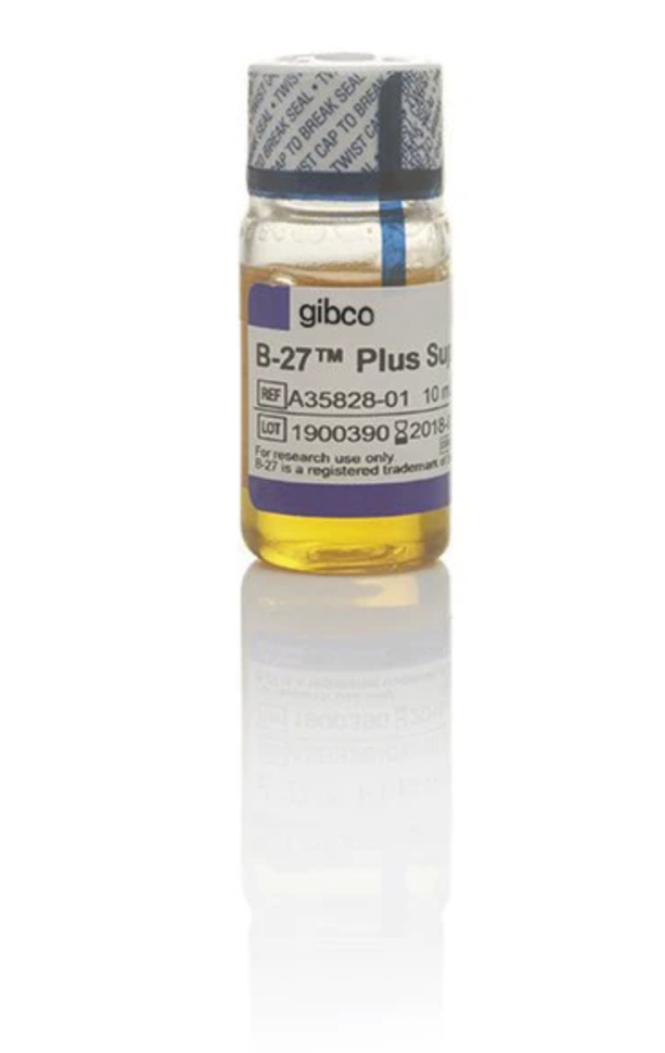 Добавка B-27 Plus Supplement (50X) для культивирования нейрональных культур, Thermo FS