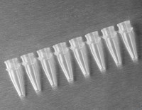 Пробирки для ПЦР в стрипах, 0,2 мл, 1×8, без крышек, бесцветные, 125 шт./уп., 1250 шт./кор., Corning