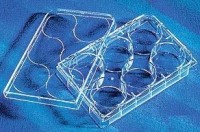 Планшеты культуральные 6-лун., плоскодонные, пов-ть CellBind, 5 шт./уп, 50 шт./кор, Corning