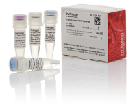 ДНК-полимераза Platinum SuperFi DNA Polymerase, Thermo FS