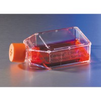 Флаконы культуральные 25 см², треуг.скош. горло, вент. крыш., пов-ть Ultra-Low, 24 шт./кор, Corning