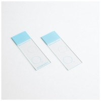 Стекло предметное Cytoslide, две лунки, не покрытое, 100 шт./кор., Thermo FS