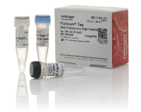 ДНК-полимераза Platinum Taq DNA Polymerase High Fidelity, Thermo FS