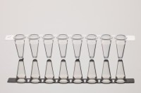 Пробирки для ПЦР в стрипах, 0,2 мл, 1×8, без крышек, бесцветные, полипропилен, Nest, Китай (аналоги арт. PCR-0208-C, Corning; арт. AB1182, Thermo FS; арт. TBS0201, Bio-Rad)