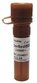 Краситель SerRed, 10’000×, Servicebio, Китай
