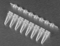 Пробирки для ПЦР в стрипах, 0,2 мл, 1×8, выпуклая крышка, бесцветные, 125 шт./уп., 1250 шт./кор., Corning