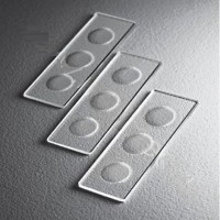 Стекло для микропрепаратов, предметное, СП-7103А с 3-мя лунками, 26*76 мм., толщ. 1,0 мм.