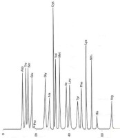 Анализатор аминокислот Azura, Knauer
