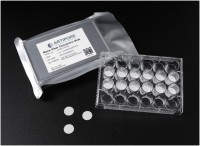 Диски для 3D культивирования полученные методом электроформования, невыровненные нановолокна, материал нанесен радиально, толщина подложки 30 мкм, 48 луночный планшет, ST1