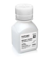 Реагент для стабилизации РНК и хранения образцов RNAlater, Thermo FS (аналоги арт. 3787.0100, 3787.0250, Диаэм)