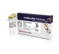 Эндонуклеаза рестрикции DraI, 10 е.а./мкл, Fermentas, Thermo FS