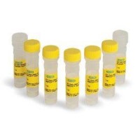 Набор реагентов, 2х One-Step RT-ddPCR, 500 реакций, Bio-Rad