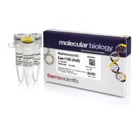 Эндонуклеаза рестрикции Eam1105I (AhdI), 10 е.а./мкл, Fermentas, Thermo FS