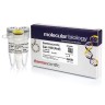 Эндонуклеаза рестрикции Eam1105I (AhdI), 10 е.а./мкл, Fermentas, Thermo FS