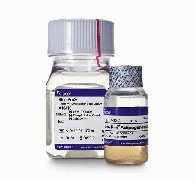 Набор StemPro Adipogenesis Differentiation Kit, для дифференцировки мезенхимальных стволовых клеток человека в адипоциты, Thermo FS