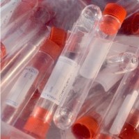 Пробирка лабораторная 10 мл., цилиндрическая, 16×100 мм., с пробкой, с этик., п/с, стерильная, Aptaca