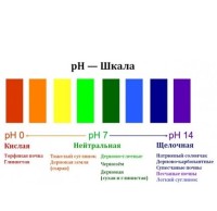 Поточная линия Диметрон для определения кислотности (pH) в почвенных растворах, Сибагроприбор