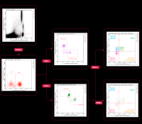 Проточный цитофлуориметр, до 3 лазеров, до 12 флуоресцентных параметров, Guava easyCyte, Luminex