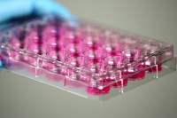 Планшеты культуральные 96-лун, плоскодонные, не обработ., стерильные, апирогенные, без ДНКаз и РНКаз, Nest, Китай (аналог арт. 267427, Thermo FS)