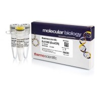 Эндонуклеаза рестрикции Ecl136II (EcoICRI), 10 е.а./мкл, Fermentas, Thermo FS