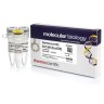 Эндонуклеаза рестрикции Ecl136II (EcoICRI), 10 е.а./мкл, Fermentas, Thermo FS
