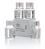 ЭДТА динатриевая соль, 0,5M, pH 8,0, UltraPure, Thermo FS