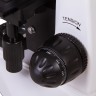 Микроскоп Levenhuk MED 20T, тринокулярный