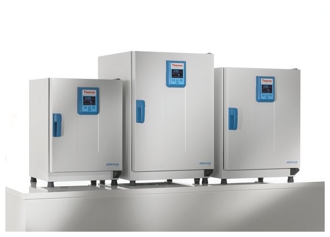 Сухожаровой шкаф 97 л, до +330 °С, принудительная вентиляция, OMH100, Thermo FS