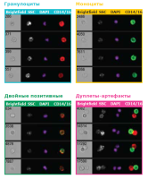 Проточный цитофлуориметр, до 4 лазеров, до 10 флуоресцентных параметров, с визуализацией, Amnis FlowSight, Luminex
