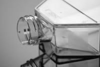 Флаконы культуральные 75 см², вент. крышка, пов-ть ТС, полистирол, стерильные, Nest, Китай