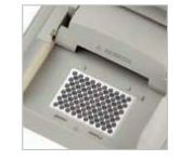 Блок 60х0,5 мл алюминиевый для GeneAmp 9700, Thermo FS