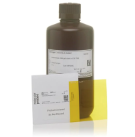 Краситель SYBR Safe, раствор в 0,5x буфере TBE, Thermo FS