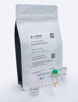 Набор для количественного определения двухцепочечной ДНК, с пробирками, QuDye HS, Lumiprobe