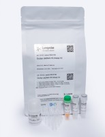 Набор для количественного определения двухцепочечной ДНК, с пробирками, QuDye HS, Lumiprobe