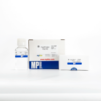 Набор для лизиса дрожжевых клеток и выделения рекомб белков, MP Biomedicals